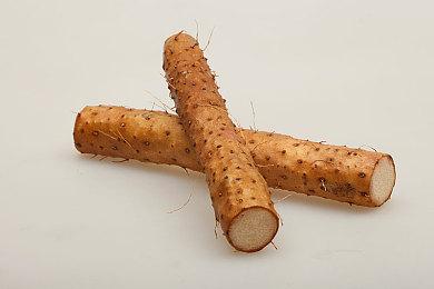 《太阁立志传V DX》预告公布 5月19日登陆NS及Steam平台